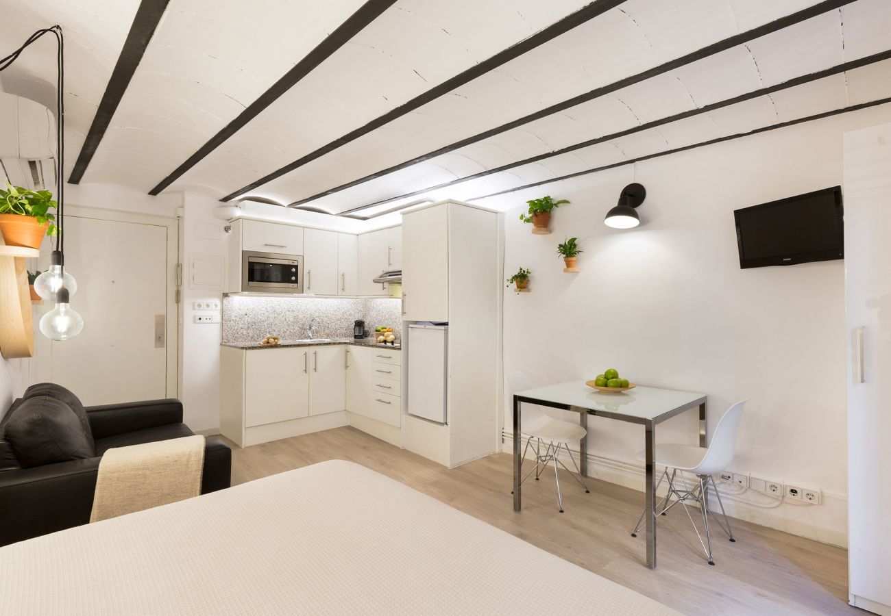 Estudio en Barcelona - OLA LIVING BORN 2