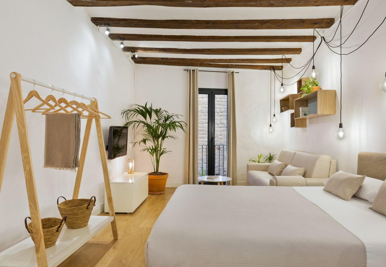 Estudio en Barcelona - OLA LIVING BORN 4