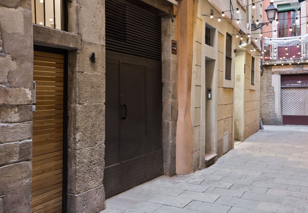 Estudio en Barcelona - OLA LIVING BORN 10 ATTIC