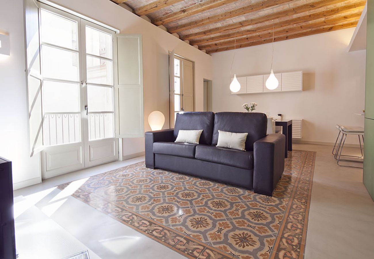 Apartamento en Barcelona - OLA LIVING PETRITXOL PALAU DE LA MÚSICA