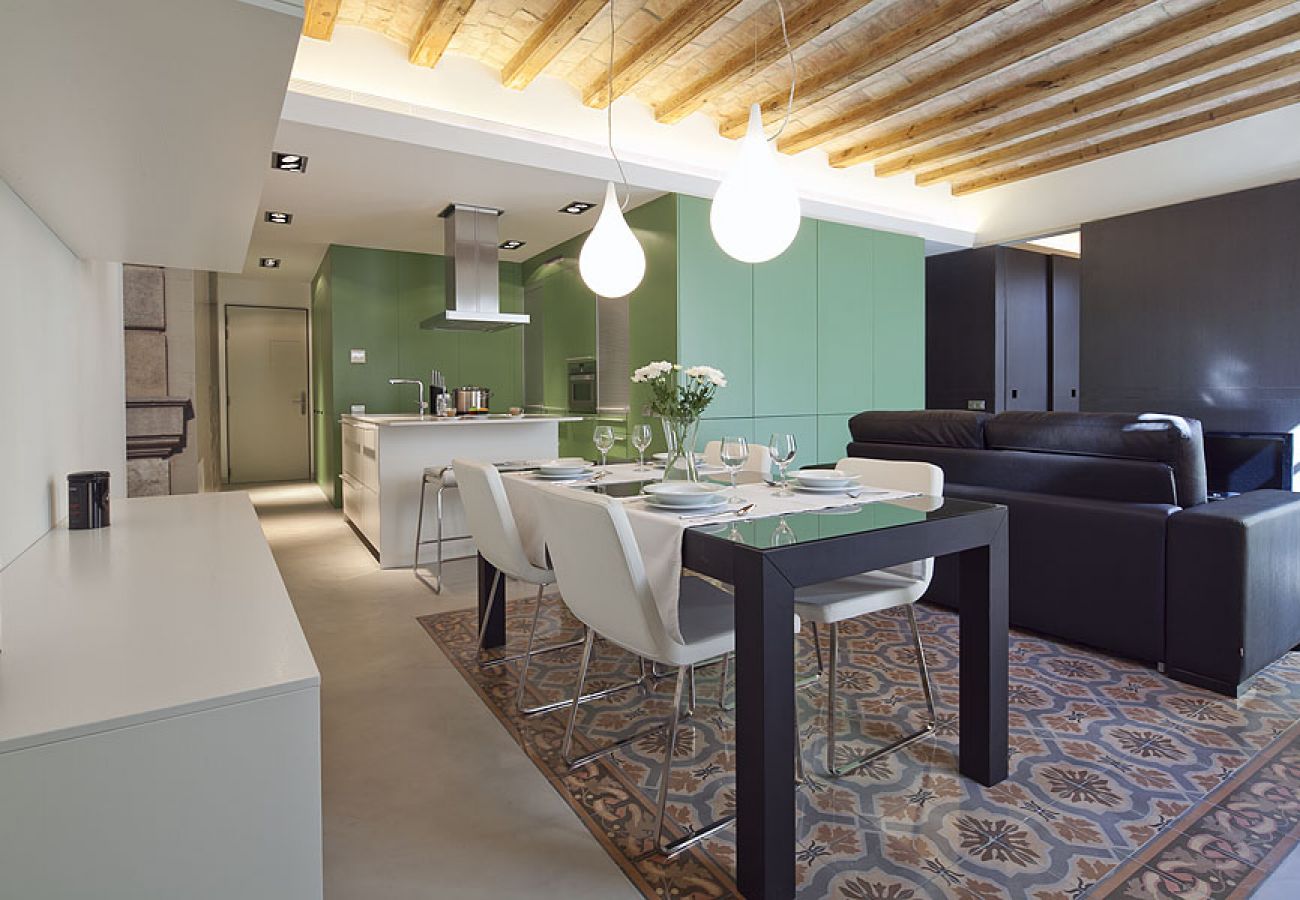 Apartamento en Barcelona - OLA LIVING PETRITXOL PALAU DE LA MÚSICA