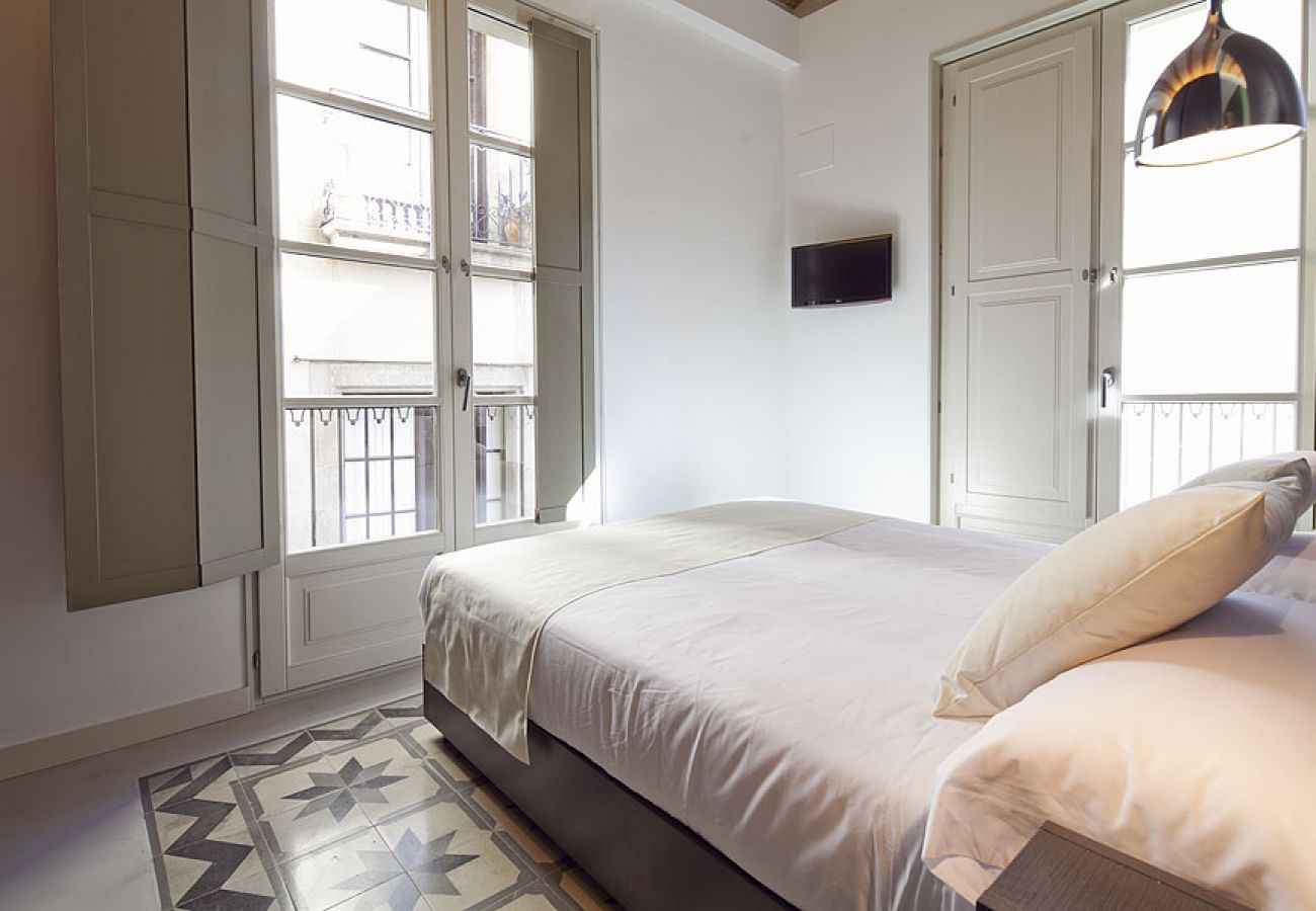 Apartamento en Barcelona - OLA LIVING PETRITXOL PALAU DE LA MÚSICA