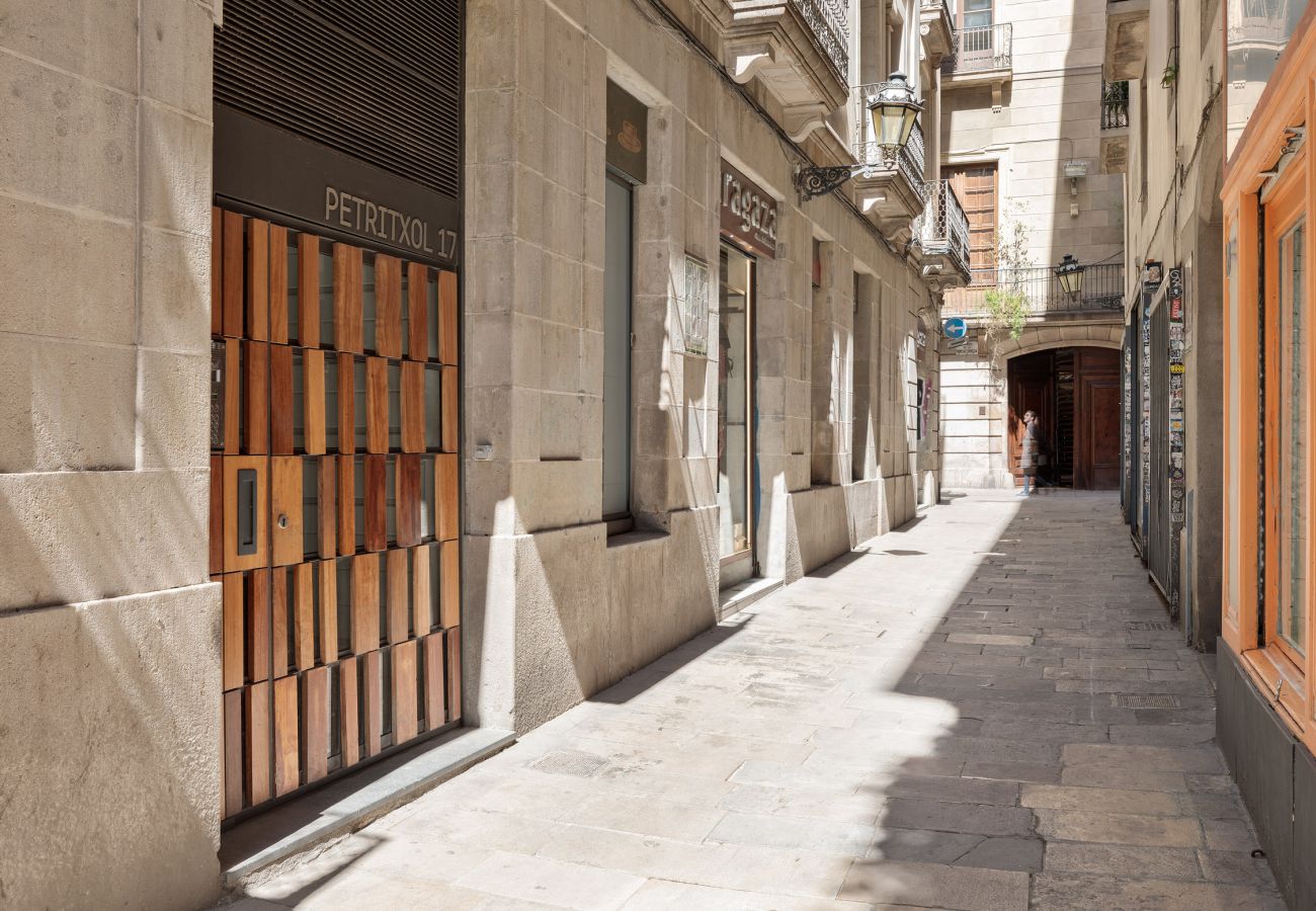 Apartamento en Barcelona - OLA LIVING PETRITXOL PALAU DE LA MÚSICA