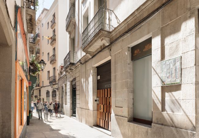 Apartamento en Barcelona - OLA LIVING PETRITXOL LA BOQUERIA Apartamento en Barcelona - OLA LIVING PETRITXOL LA BOQUERIA