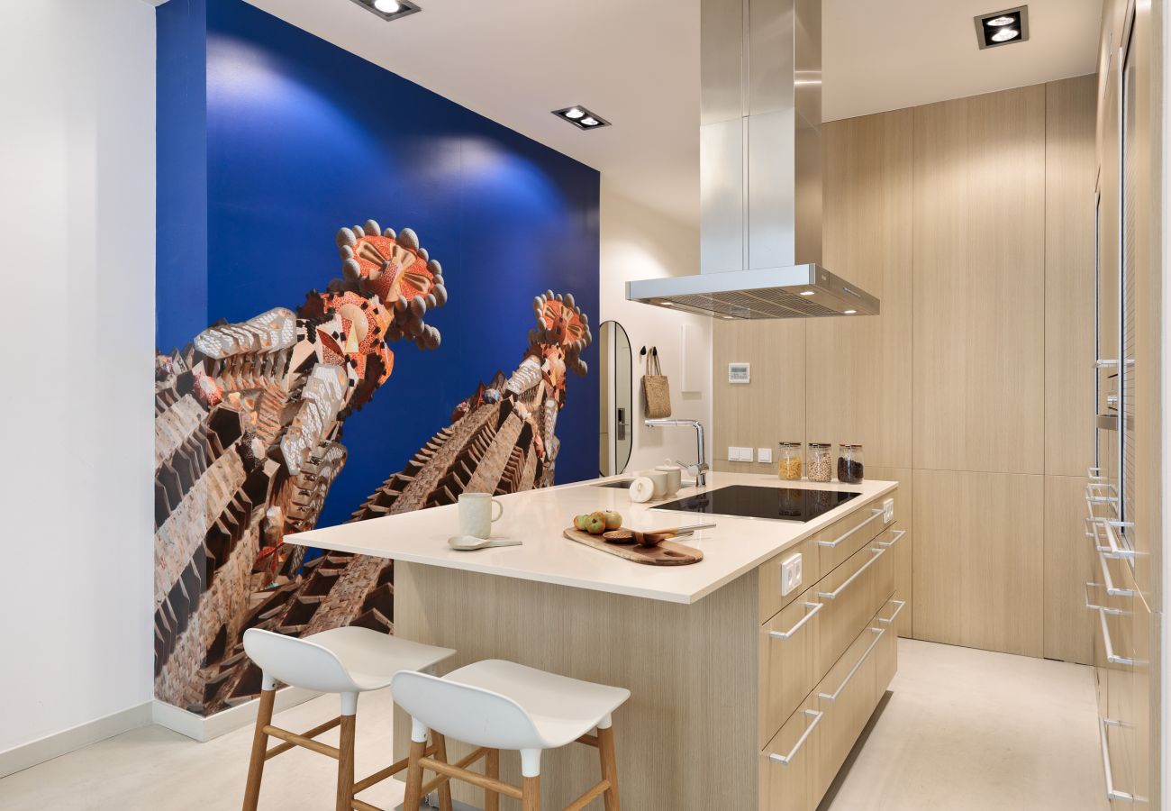 Apartamento en Barcelona - OLA LIVING PETRITXOL SAGRADA FAMILIA
