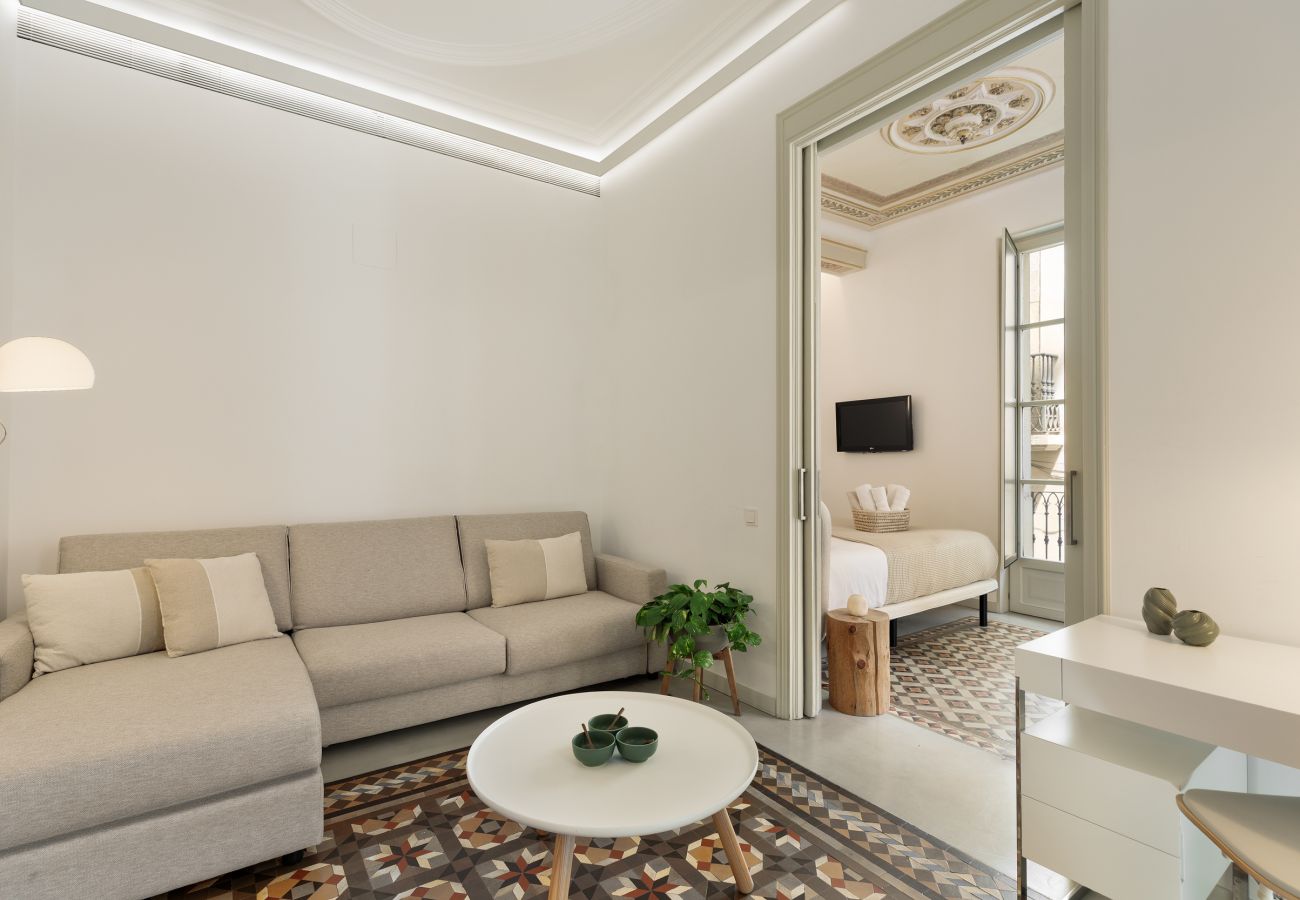 Apartamento en Barcelona - OLA LIVING PETRITXOL SAGRADA FAMILIA