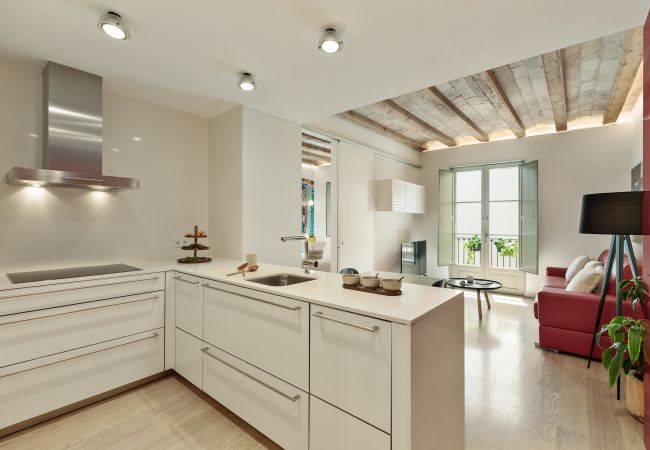 Apartamento en Barcelona - OLA LIVING PETRITXOL LA PEDRERA Apartamento en Barcelona - OLA LIVING PETRITXOL LA PEDRERA