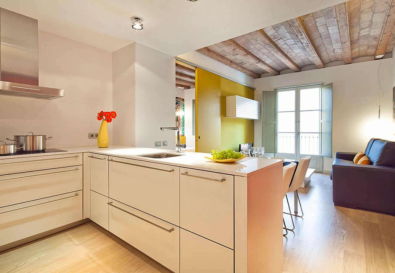 Apartamento en Barcelona - OLA LIVING PETRITXOL PARC GÜELL