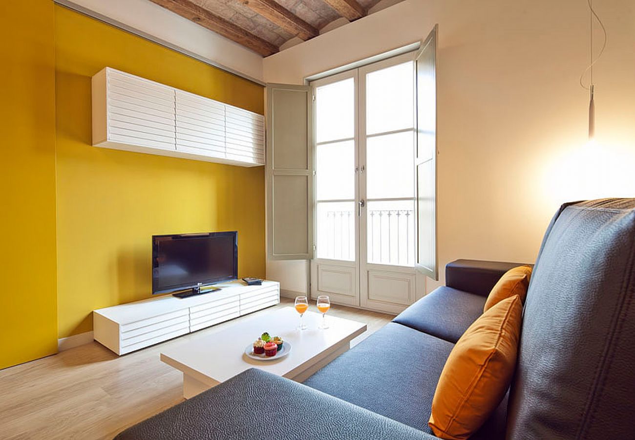 Apartamento en Barcelona - OLA LIVING PETRITXOL ZOO