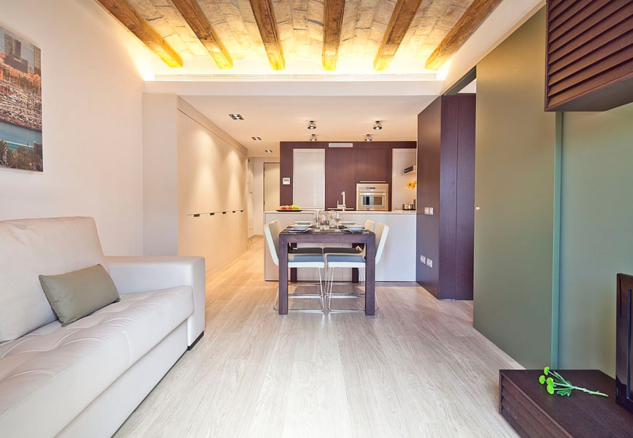 Apartamento en Barcelona - OLA LIVING PETRITXOL PARC GÜELL