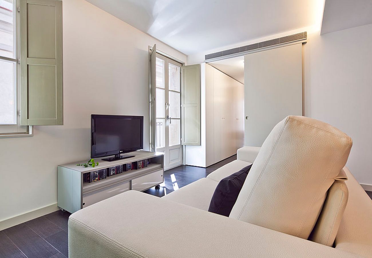 Apartamento en Barcelona - OLA LIVING PETRITXOL LA PEDRERA