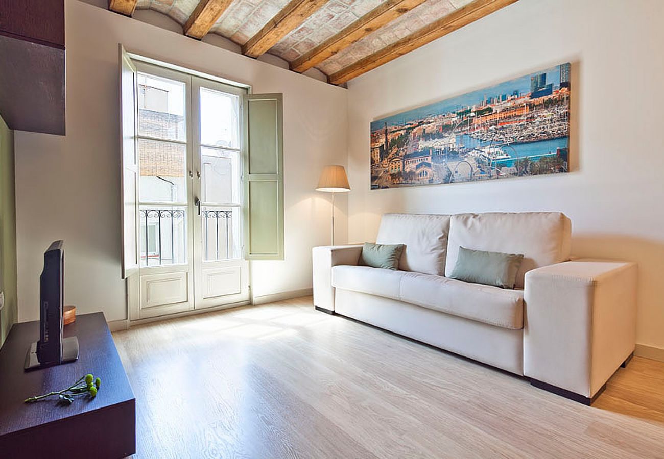 Apartamento en Barcelona - OLA LIVING PETRITXOL PARC GÜELL