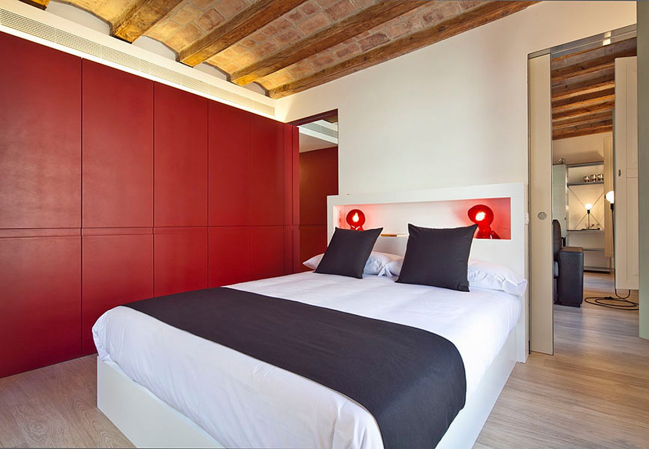 Apartamento en Barcelona - OLA LIVING PETRITXOL ZOO