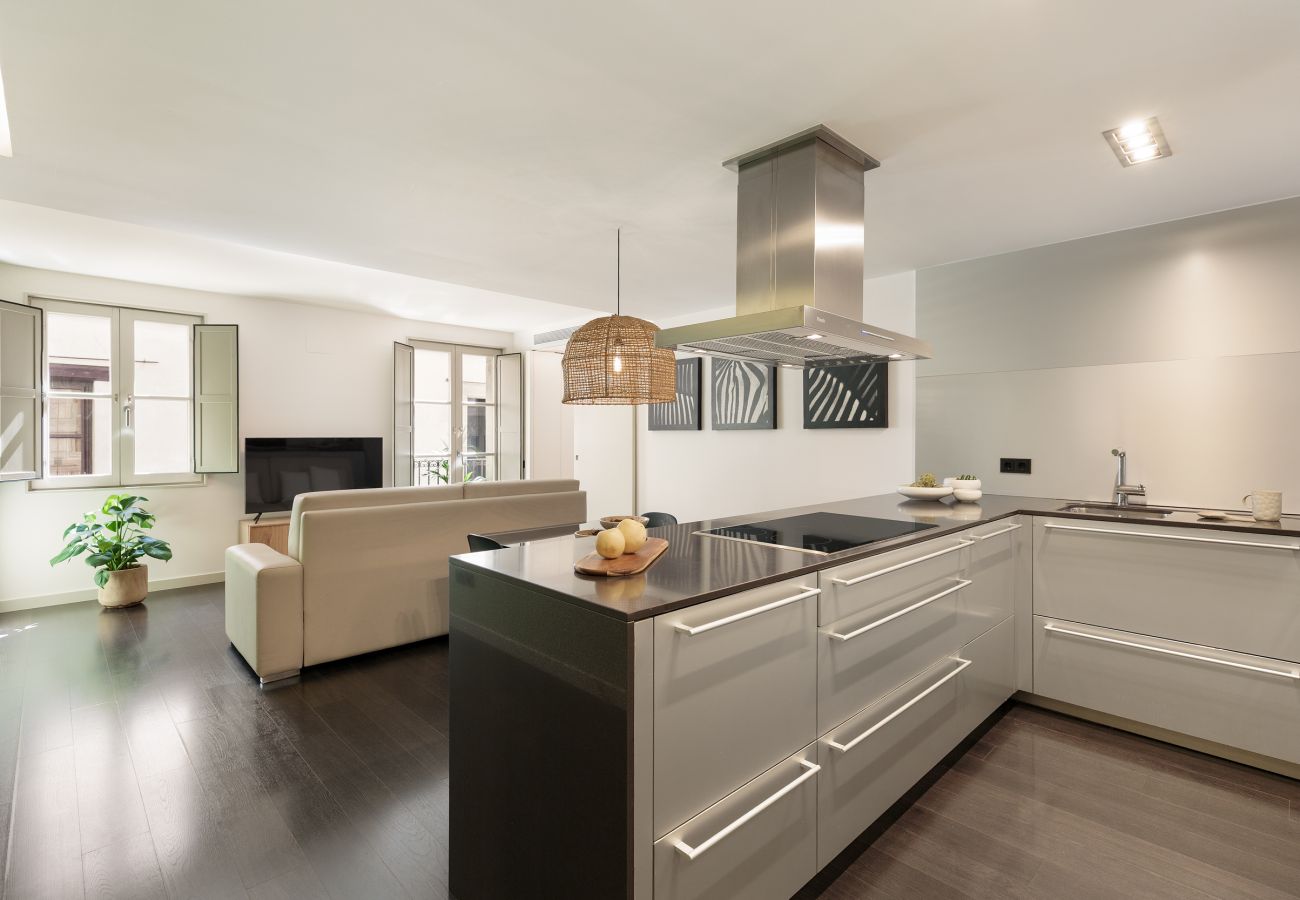 Apartamento en Barcelona - OLA LIVING PETRITXOL LA PEDRERA