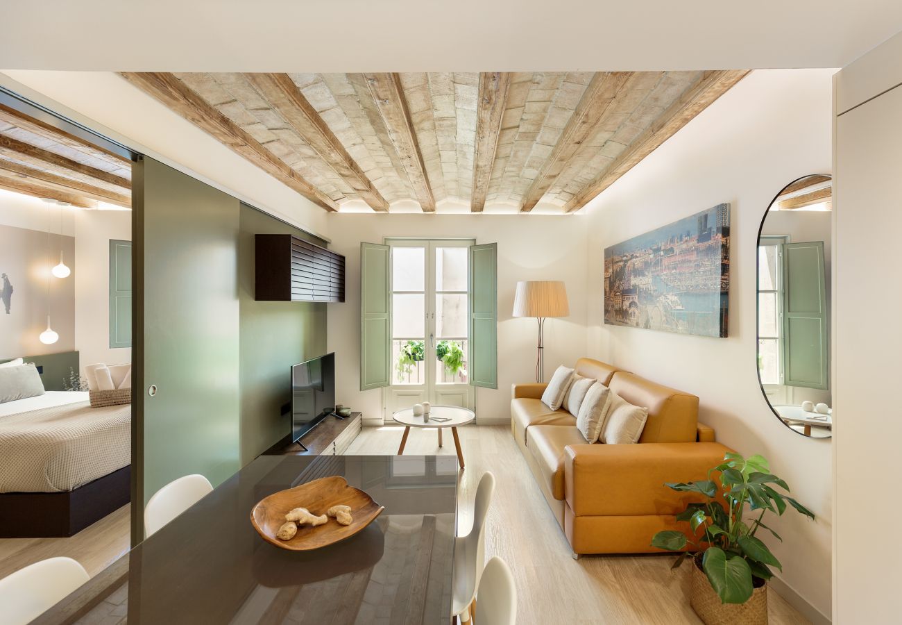 Apartamento en Barcelona - OLA LIVING PETRITXOL LA PEDRERA