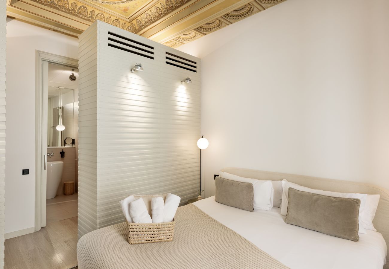 Apartamento en Barcelona - OLA LIVING PETRITXOL BARRI GÒTIC