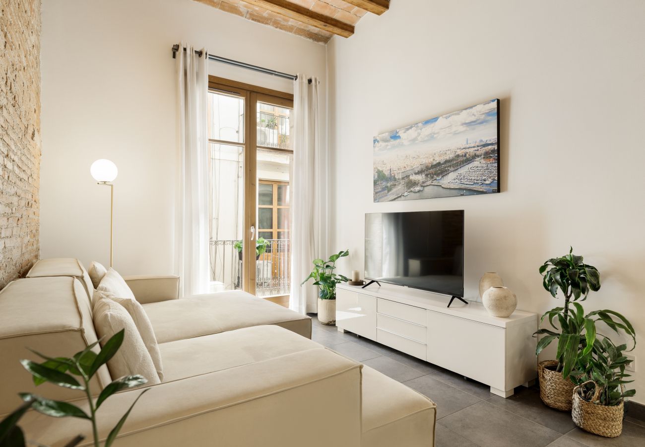 Apartamento en Barcelona - OLA LIVING MACBA 2