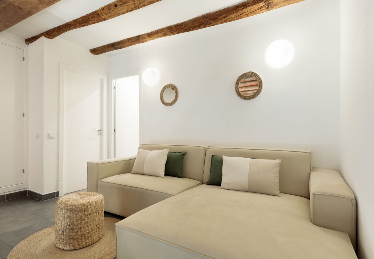 Apartamento en Barcelona - OLA LIVING MACBA 0