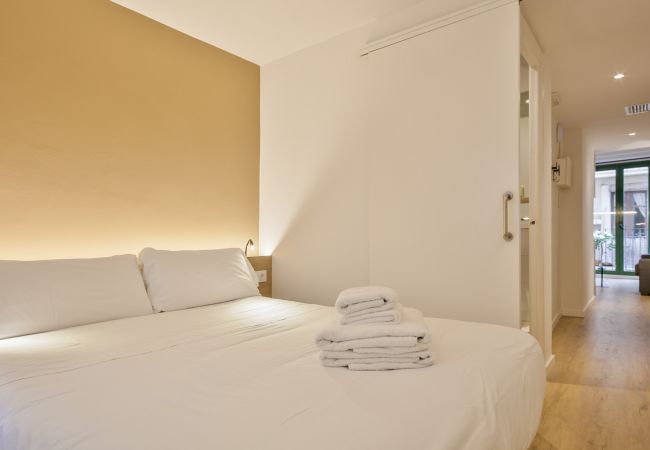 Apartamento en Barcelona - OLA LIVING VIDRERIA 2