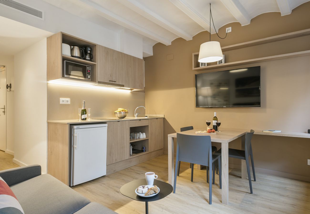 Apartamento en Barcelona - OLA LIVING VIDRERIA 1