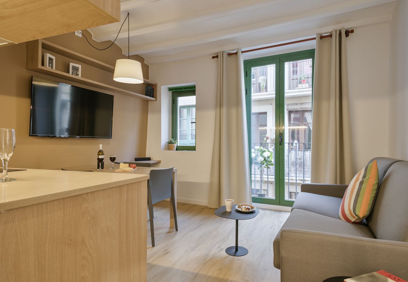 Apartamento en Barcelona - OLA LIVING VIDRERIA 1