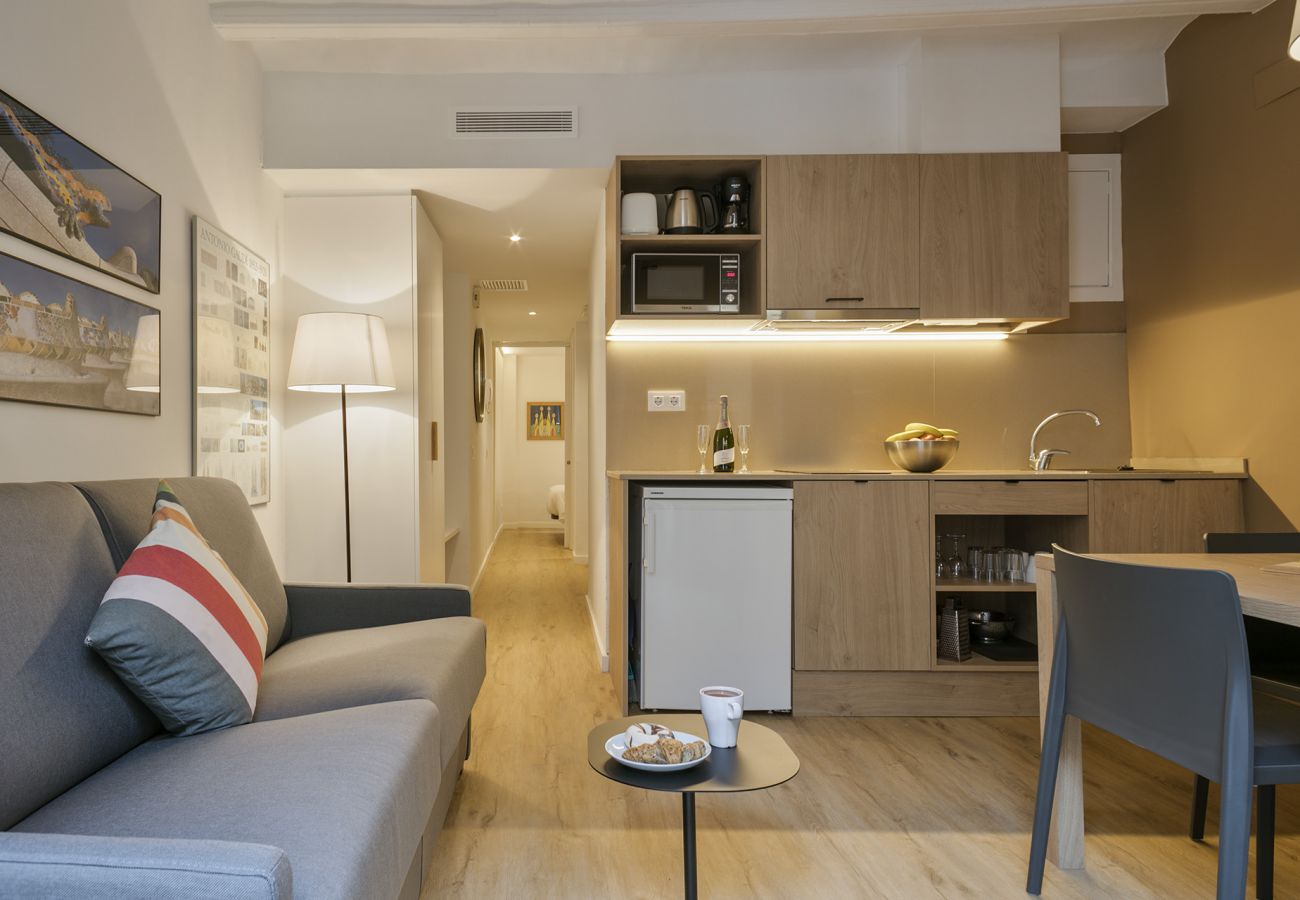 Apartamento en Barcelona - OLA LIVING VIDRERIA 5