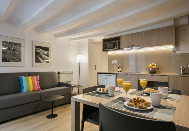 Apartamento en Barcelona - MT VIDRERIA 0