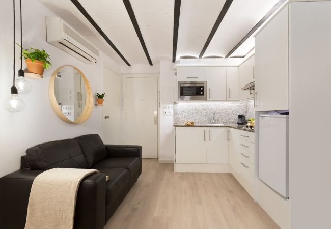 Studio in Barcelona - OLA LIVING BORN 3 Studio in Barcelona - OLA LIVING BORN 3