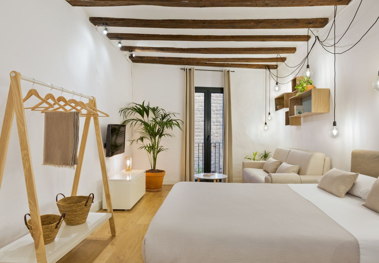 Studio in Barcelona - OLA LIVING BORN 1
