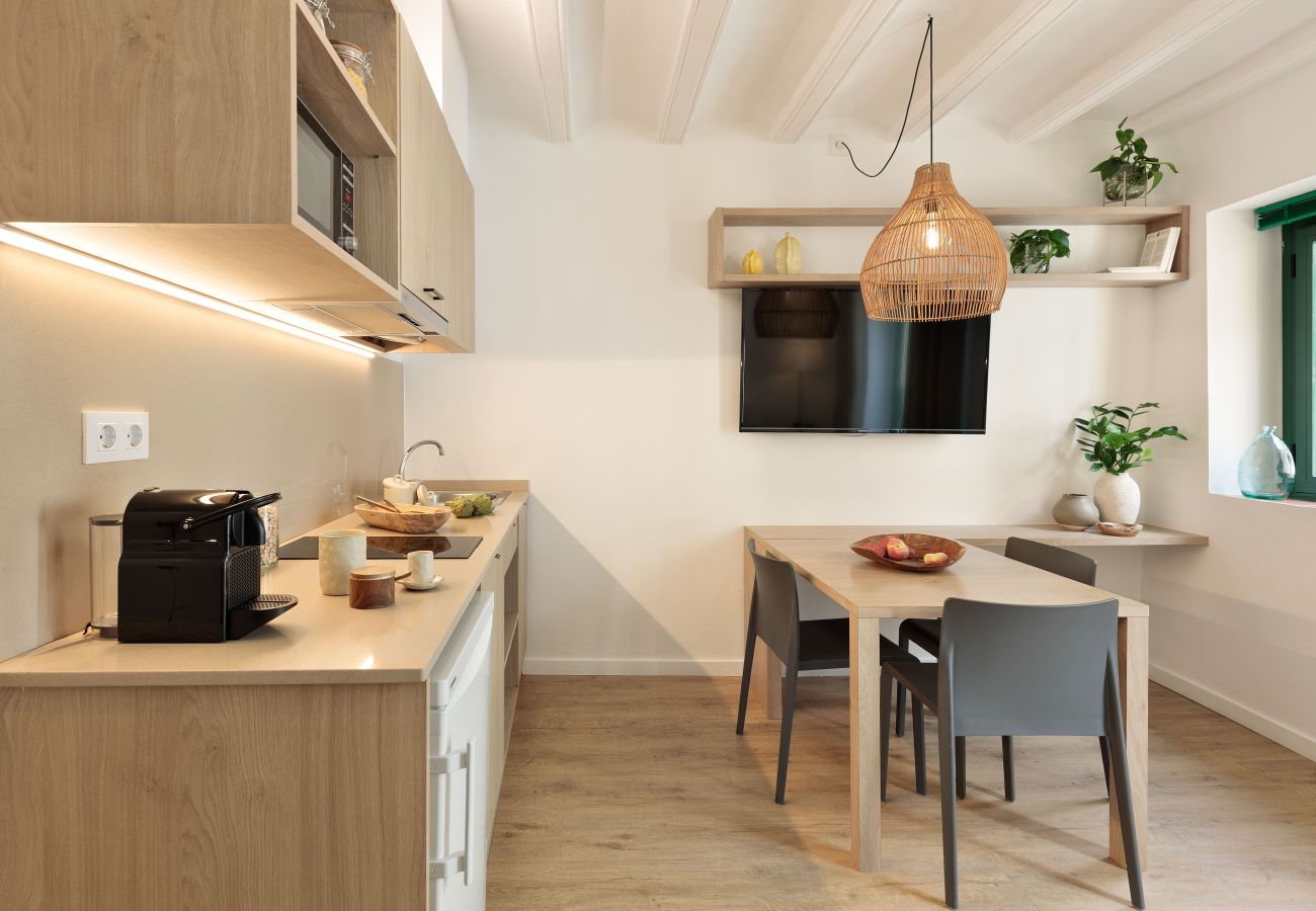 Ferienwohnung in Barcelona - OLA LIVING VIDRERIA 4
