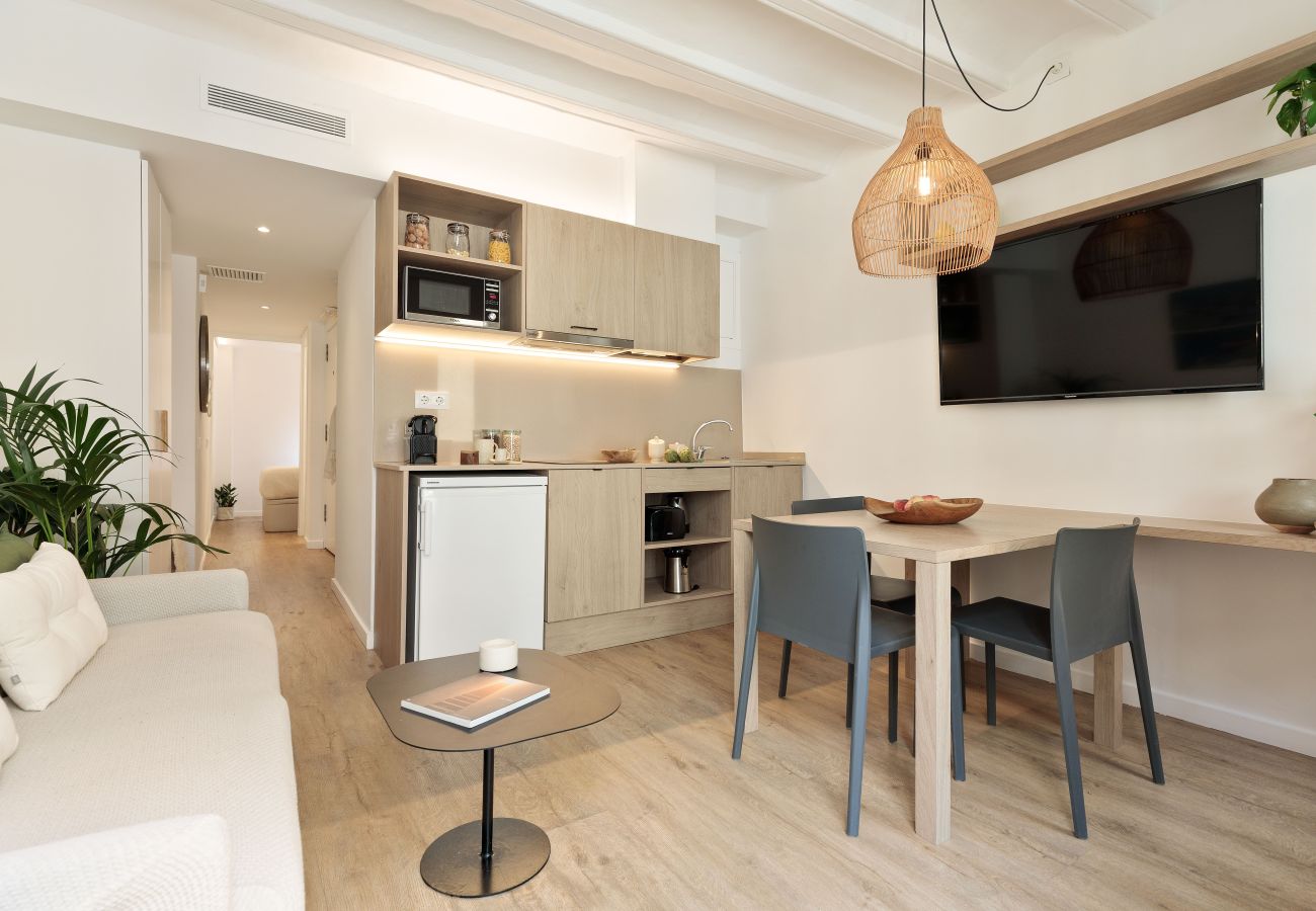 Ferienwohnung in Barcelona - OLA LIVING VIDRERIA 4