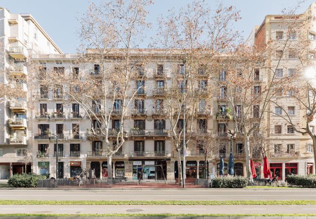 Apartment in Barcelona - OLA LIVING ARCO DEL TRIUNFO Apartment in Barcelona - OLA LIVING ARCO DEL TRIUNFO