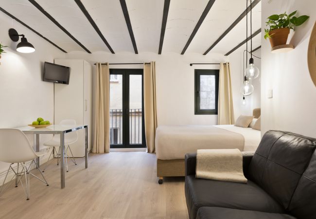 Studio in Barcelona - OLA LIVING BORN 3 Studio in Barcelona - OLA LIVING BORN 3