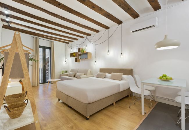 Studio in Barcelona - OLA LIVING BORN 1 Studio in Barcelona - OLA LIVING BORN 1