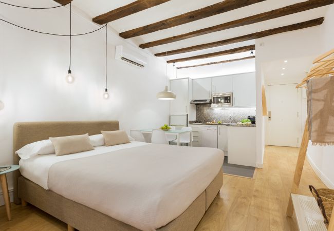 Studio in Barcelona - OLA LIVING BORN 1 Studio in Barcelona - OLA LIVING BORN 1