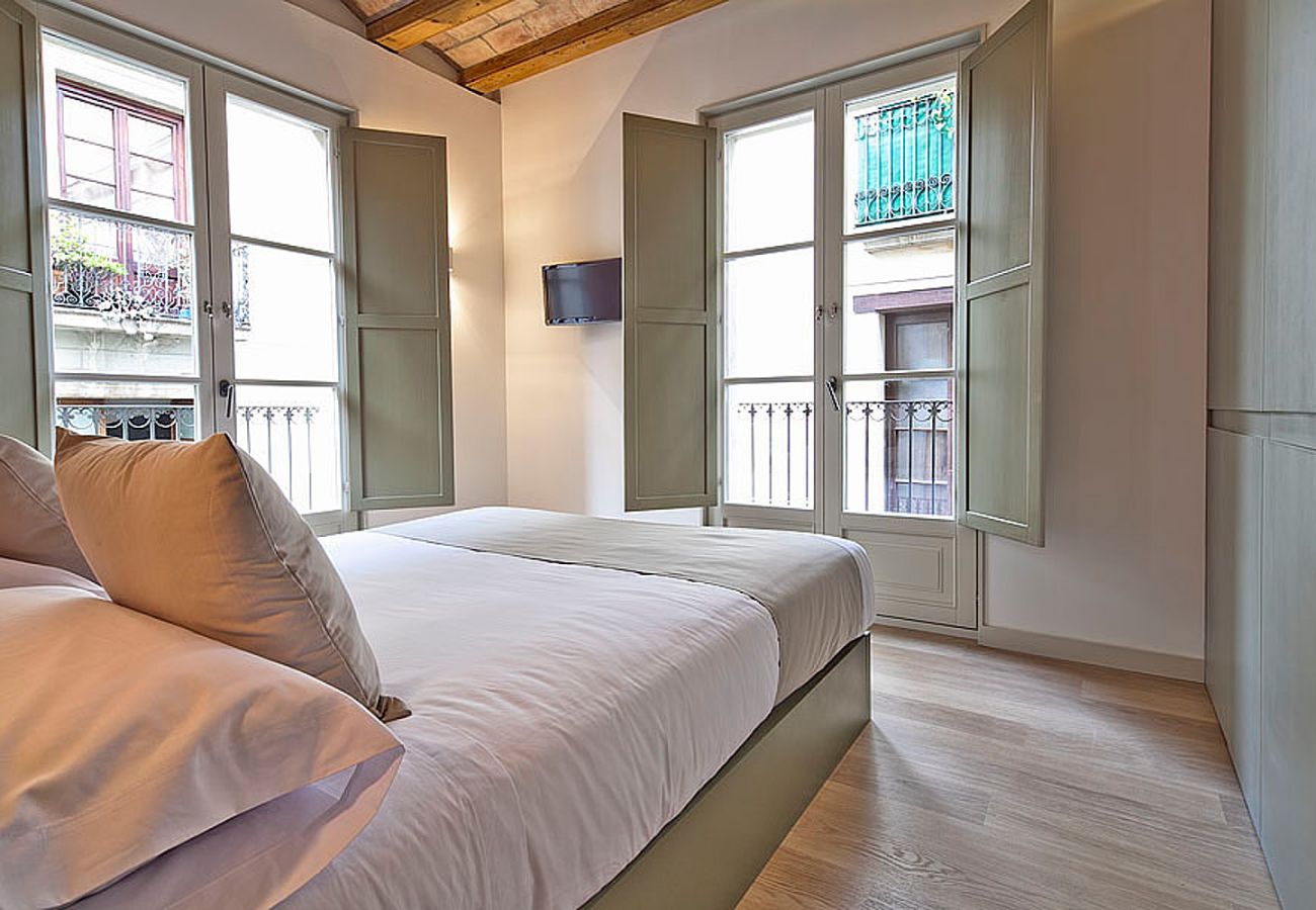 Apartment in Barcelona - OLA LIVING PETRITXOL LA PEDRERA