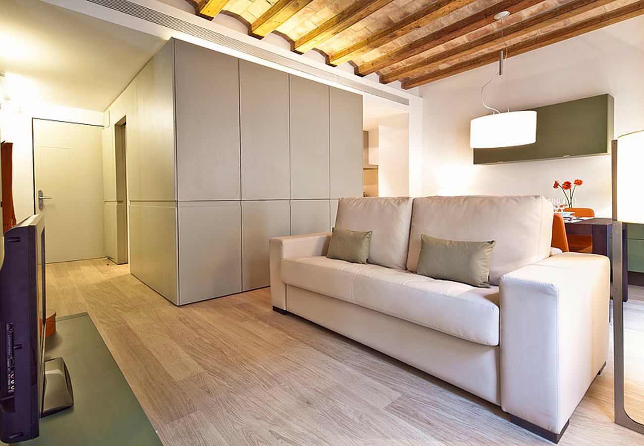 Apartment in Barcelona - OLA LIVING PETRITXOL ZOO