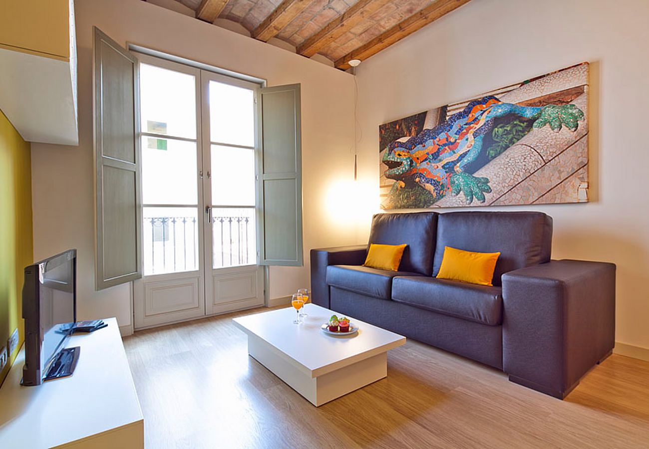 Apartment in Barcelona - OLA LIVING PETRITXOL PARC GÜELL