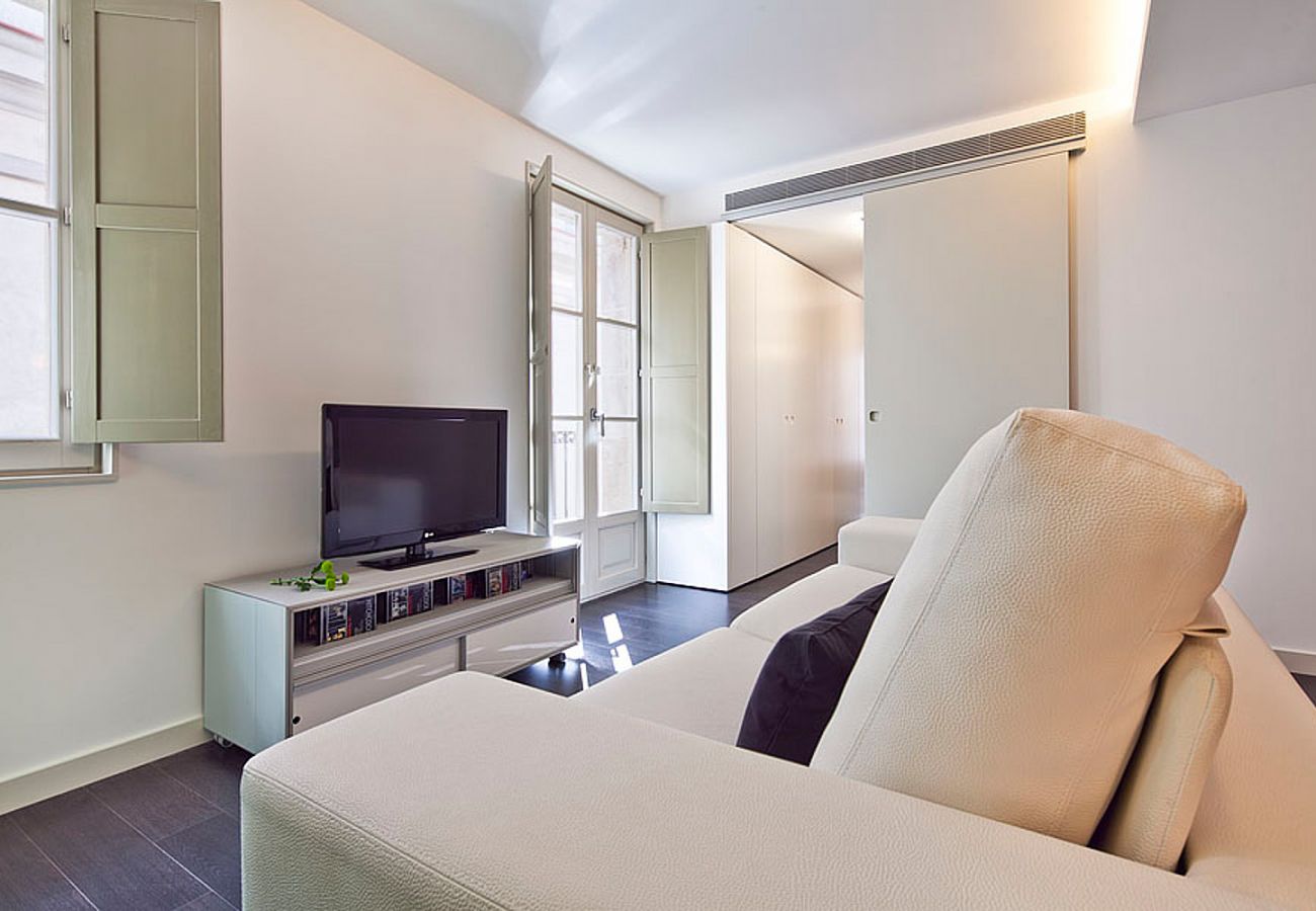 Apartment in Barcelona - OLA LIVING PETRITXOL ZOO