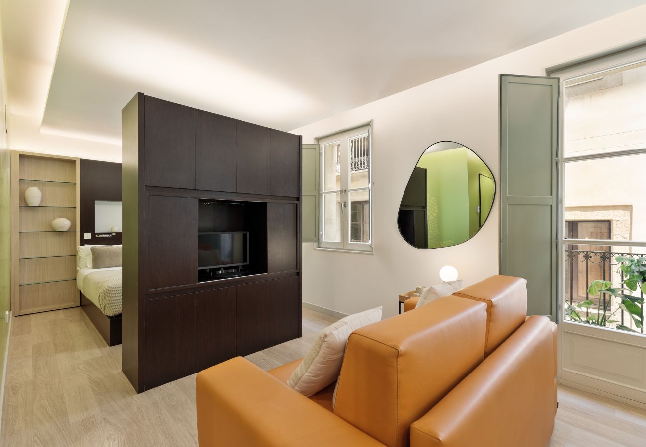 Studio in Barcelona - OLA LIVING PETRITXOL BARCELONETA