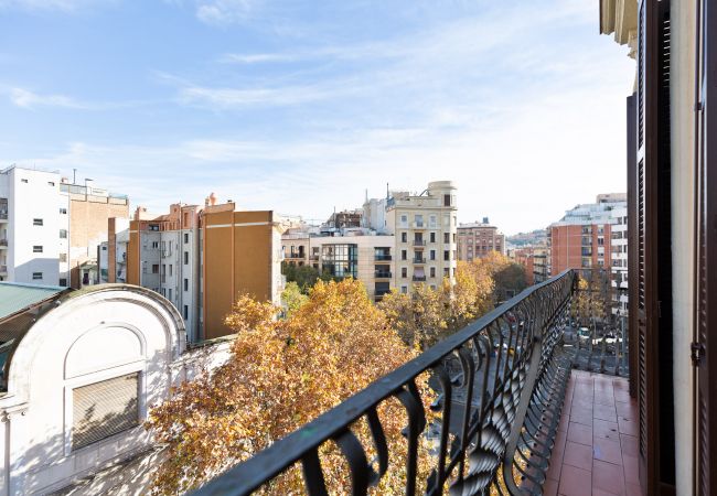 Apartment in Barcelona - OLA LIVING CALABRIA 6