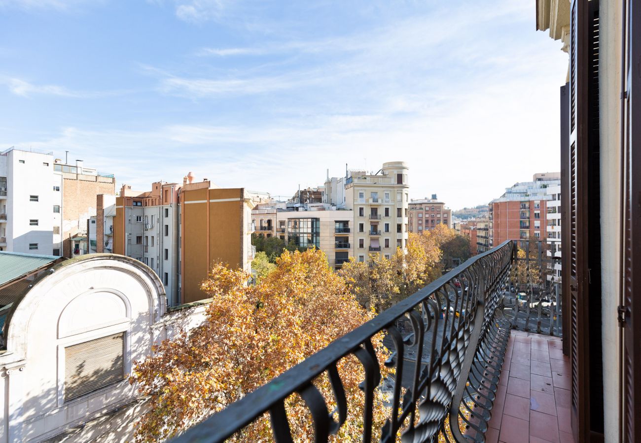 Apartment in Barcelona - OLA LIVING CALABRIA 2