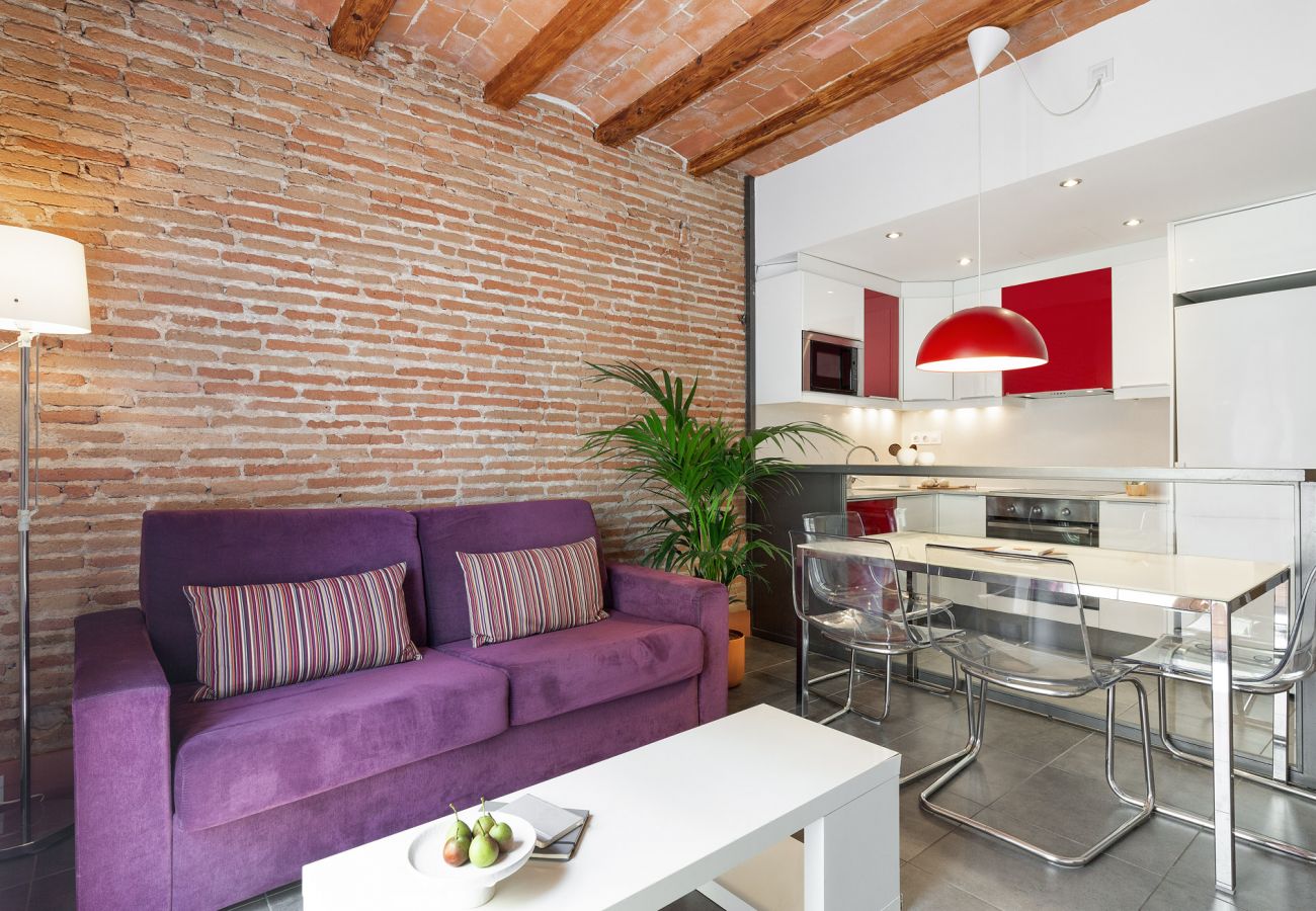 Apartment in Barcelona - OLA LIVING MACBA 3