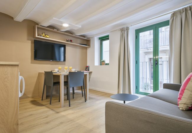 Apartment in Barcelona - OLA LIVING VIDRERIA 0