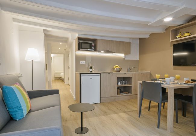 Apartment in Barcelona - OLA LIVING VIDRERIA 0