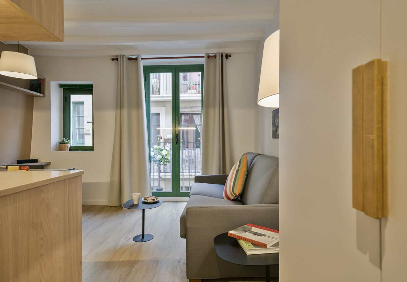 Apartment in Barcelona - OLA LIVING VIDRERIA 3