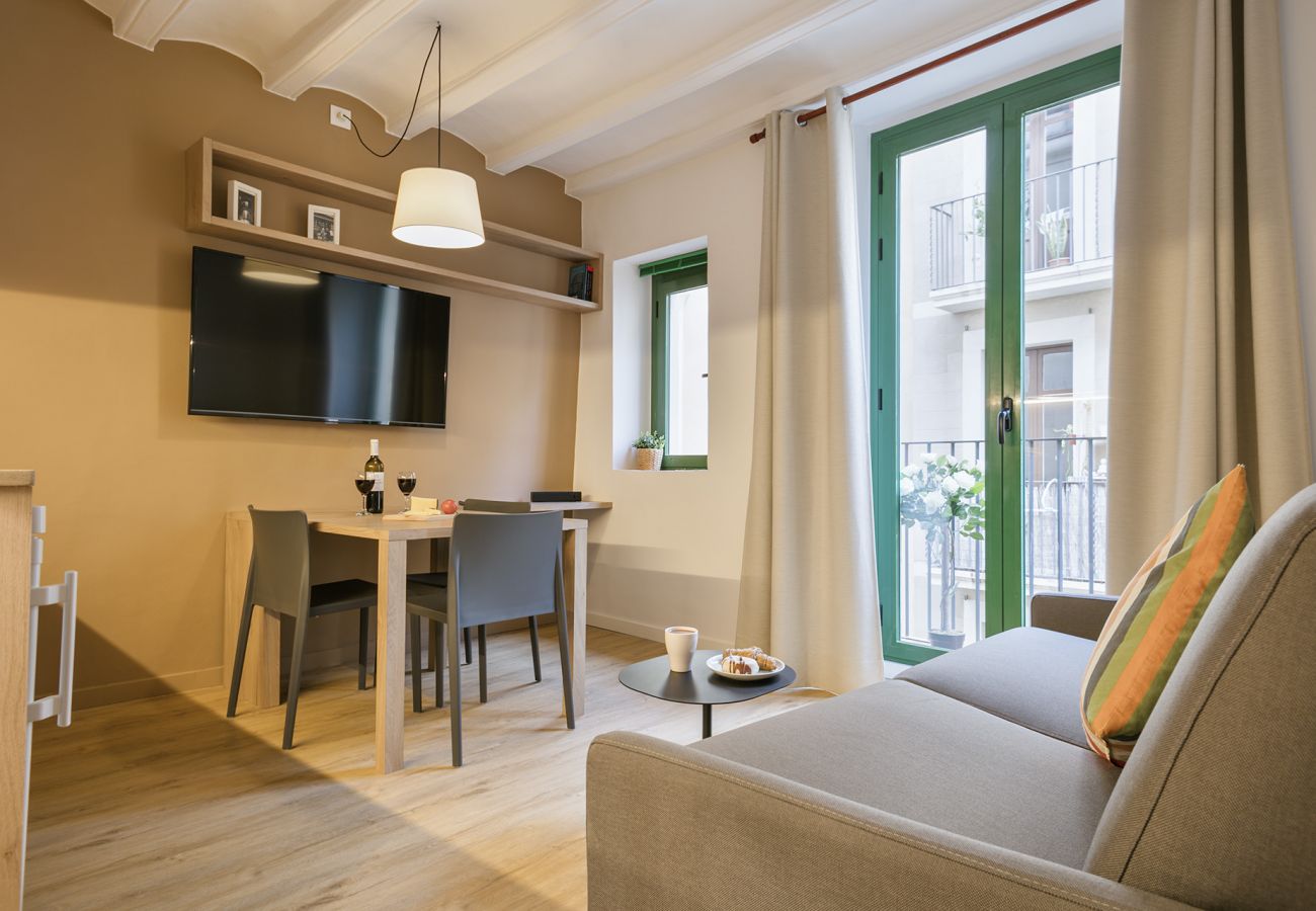 Apartment in Barcelona - OLA LIVING VIDRERIA 3