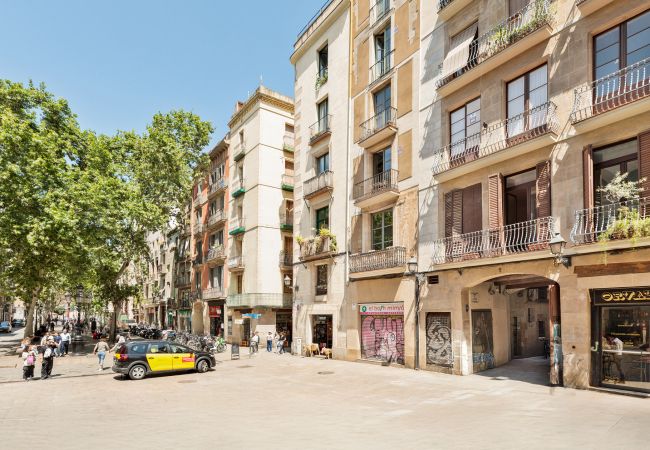 Apartment in Barcelona - OLA LIVING VIDRERIA 3 Apartment in Barcelona - OLA LIVING VIDRERIA 3
