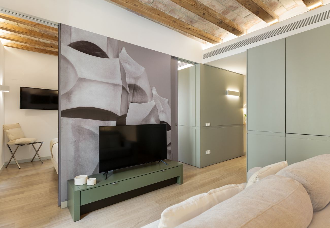 Appartement à Barcelone - OLA LIVING PETRITXOL LA PEDRERA