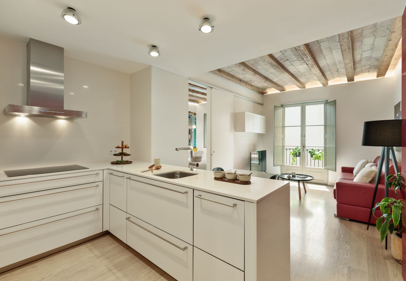 Appartement à Barcelone - OLA LIVING PETRITXOL LA PEDRERA